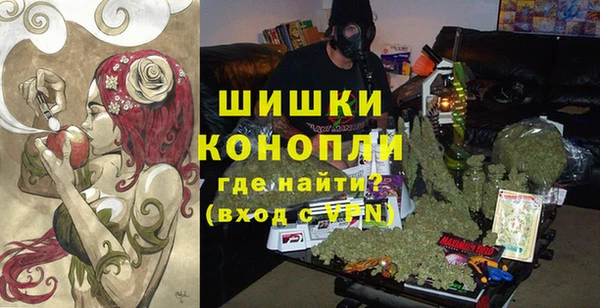 ешки Аркадак