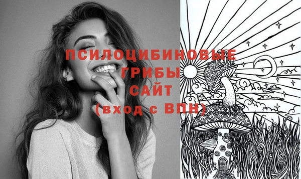 твердый Арсеньев