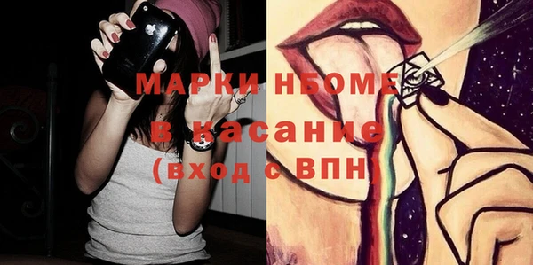 твердый Арсеньев