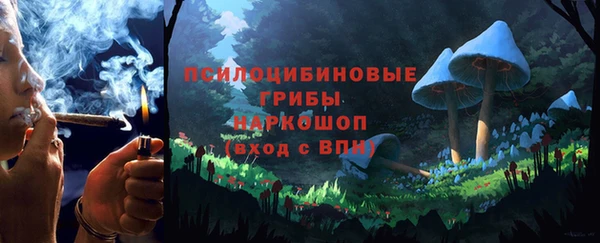 твердый Арсеньев