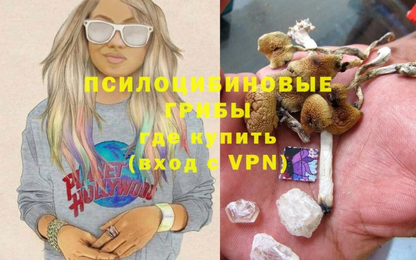 твердый Арсеньев