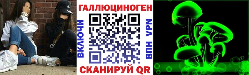 где продают Николаевск-на-Амуре Галлюциногенные грибы мицелий